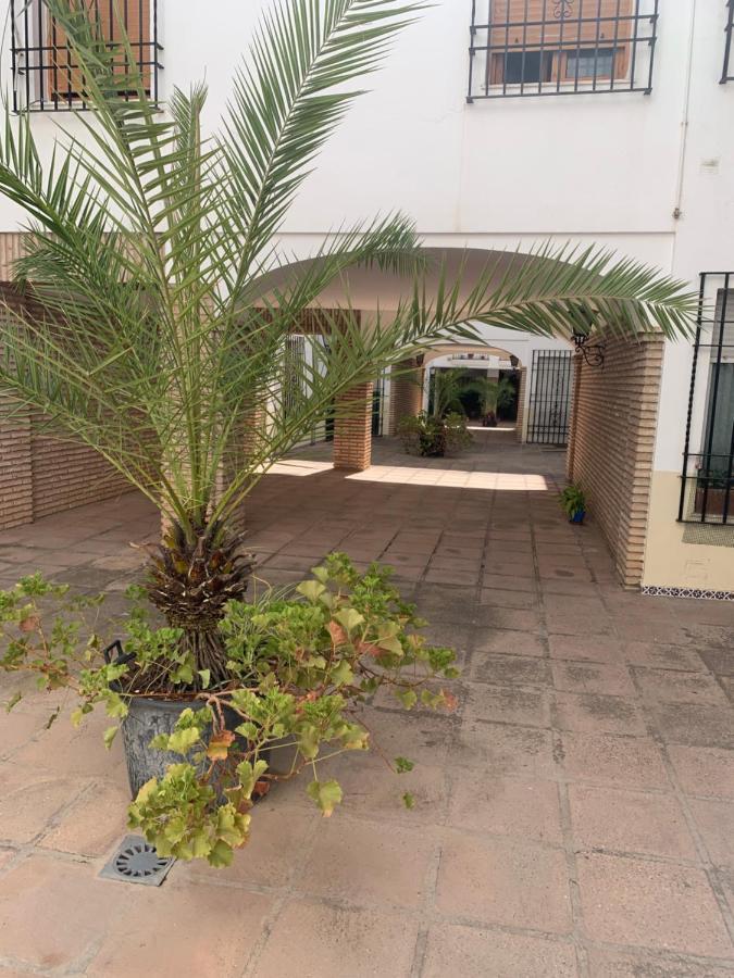 Apartamento A Estrenar A Un Minuto Del Alcazar Apartment Kordoba Bagian luar foto